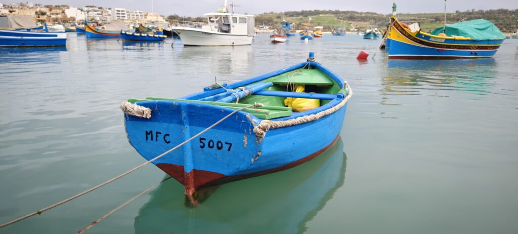 1aee22ea 9e28 482d 9174 ab9adafb633d